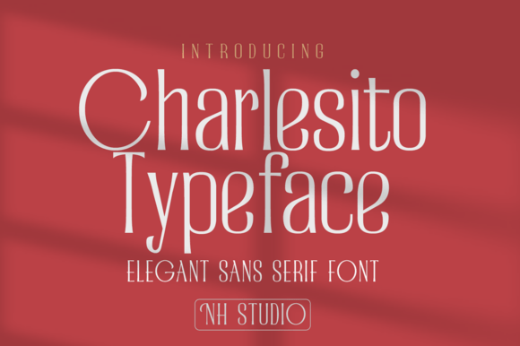 Charlesito: A Modern Sans Serif Typeface for Editorial Design