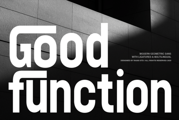 Good Function: The Modern Sans Serif Typeface for Editorial Design