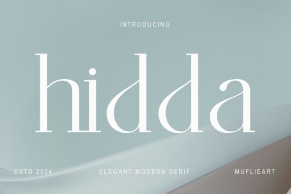 Hidda: The Modern Serif Font for Scroll-Stopping Campaigns