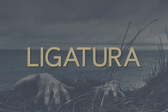 Ligatura: The Modern Sans Serif Typeface for Editorial Design