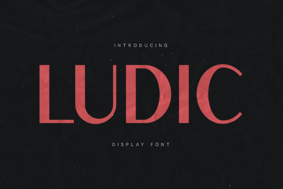 Ludic: The Perfect Sans Serif Font for Handmade Product Labels and Signs