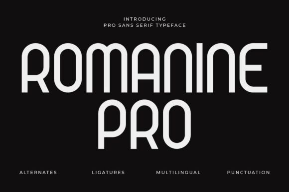 Romanine Pro: A Modern Sans Serif Typeface for Digital Brands